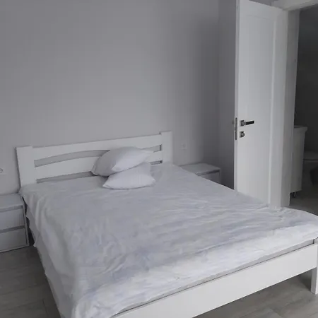 Guest house Sofi Yablunytsya