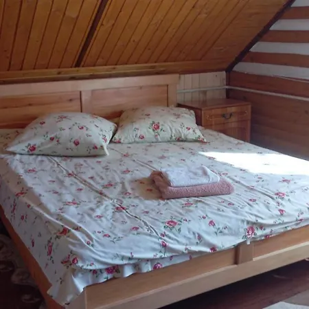Sofi Guest house Yablunytsya